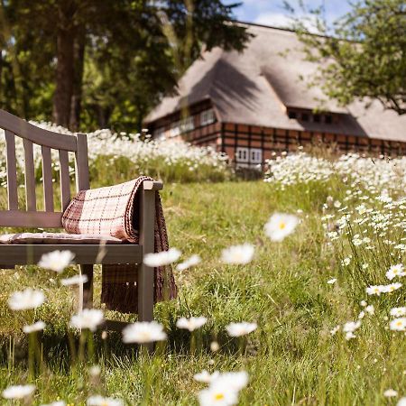Park Am See X Nattika Ayurveda, Hotel Health Spirit Penzlin Zewnętrze zdjęcie