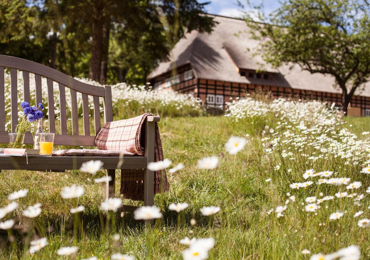 Park Am See X Nattika Ayurveda, Hotel Health Spirit Penzlin Zewnętrze zdjęcie