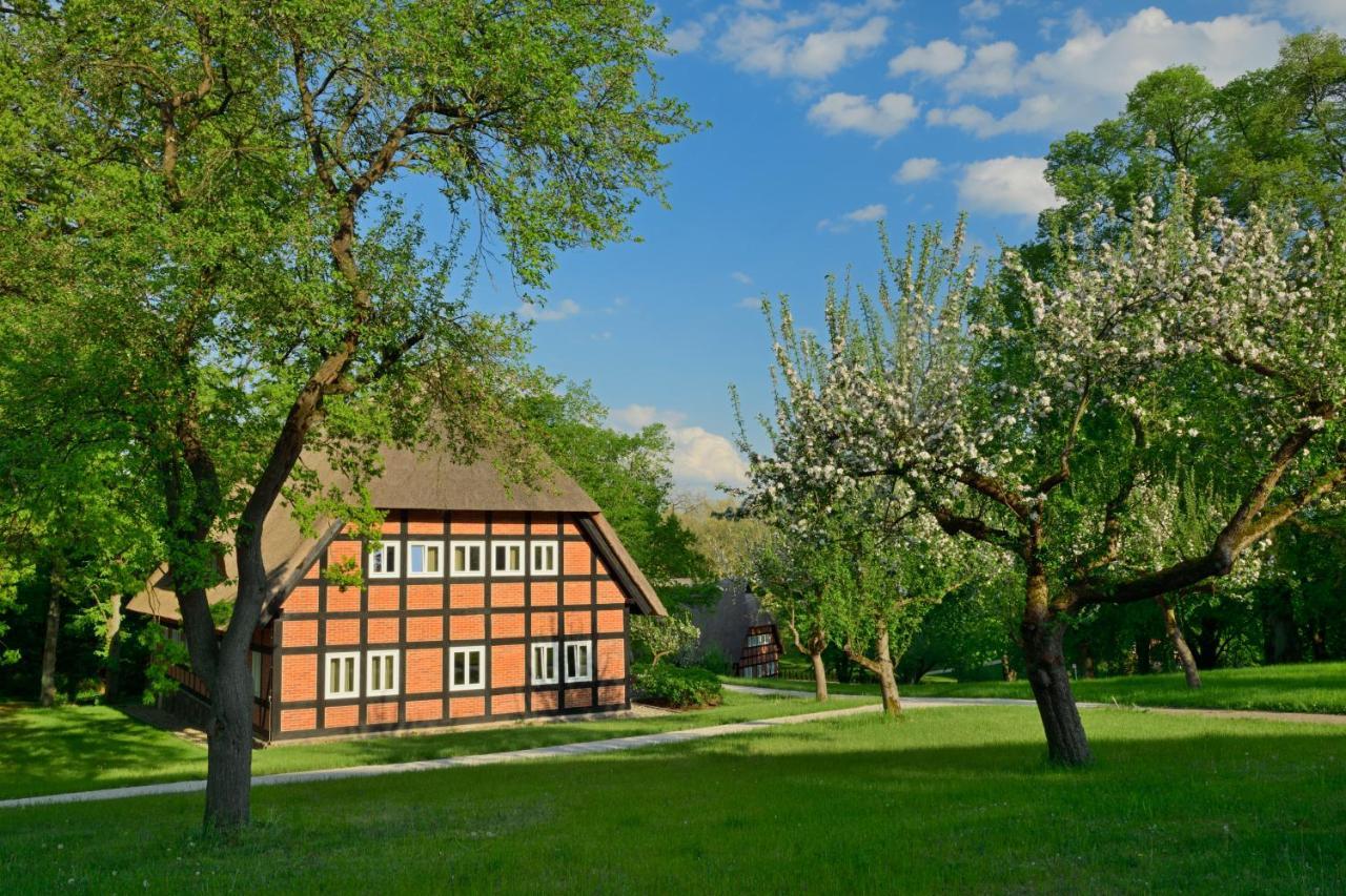 Park Am See X Nattika Ayurveda, Hotel Health Spirit Penzlin Zewnętrze zdjęcie