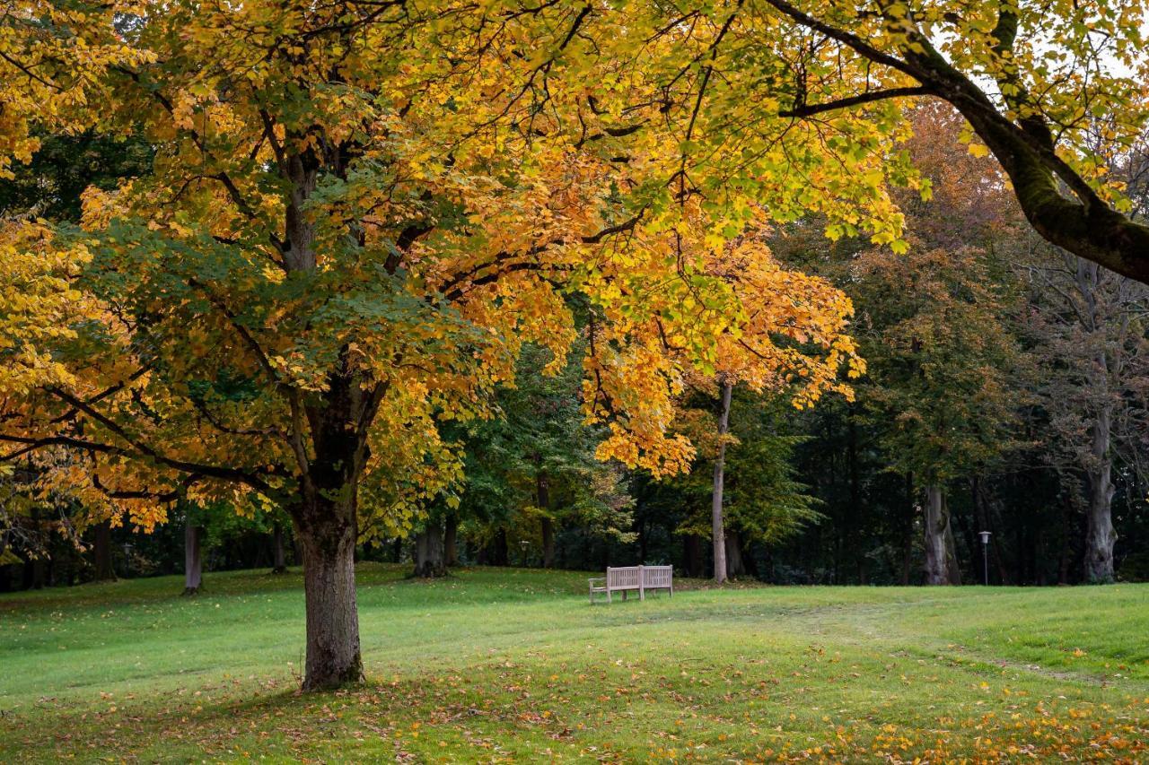 Park Am See X Nattika Ayurveda, Hotel Health Spirit Penzlin Zewnętrze zdjęcie